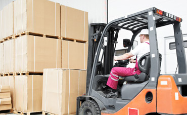Local and Domestic Relocation